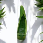 Photoroom_20250306_130400