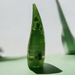 Photoroom_20250306_130444